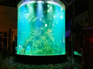 china custom cheap big round round pmma aquariums clear tank cylinder acrylic fish